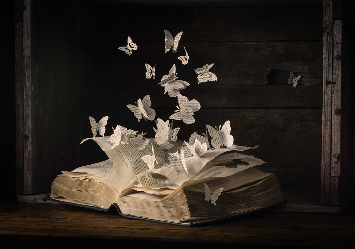 Lepidopterologie