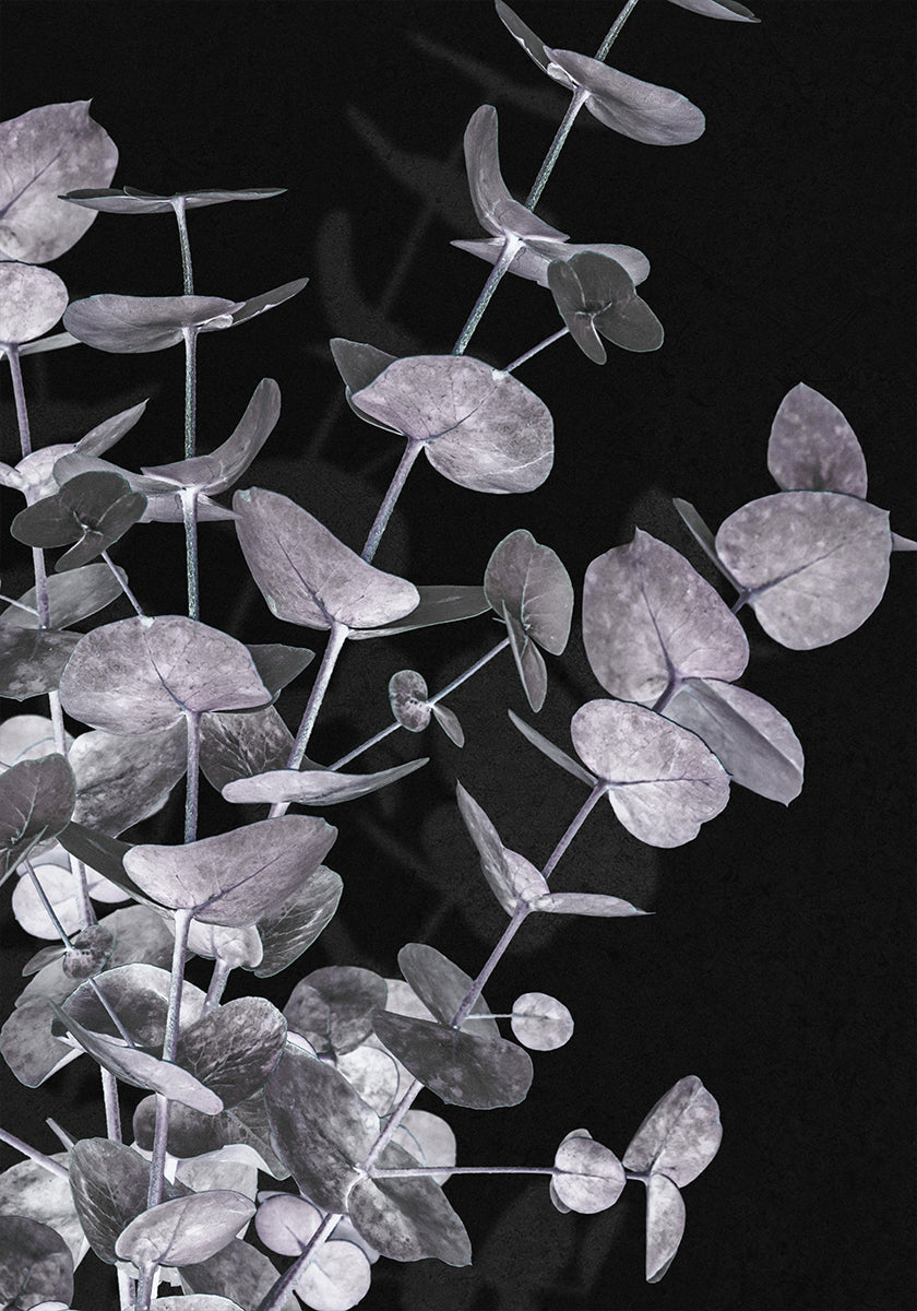 Eukalyptus-Negativ-Nr.3-Poster