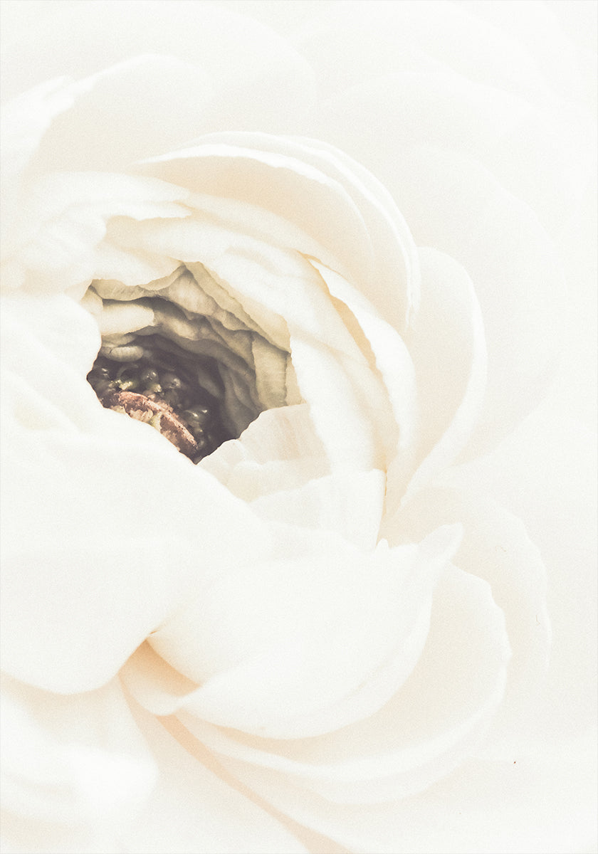 Weißes Blumen-Nr.1-Poster