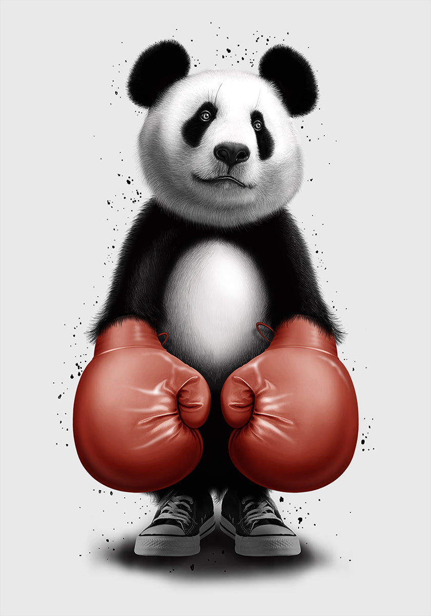PANDA BOXER Poster