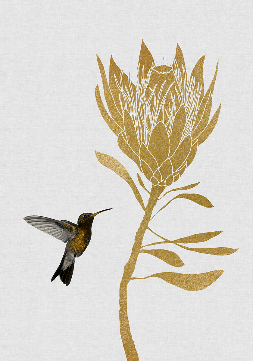 Kolibri und Blume im Poster