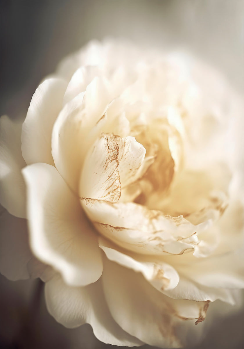 Ätherische Blüte
