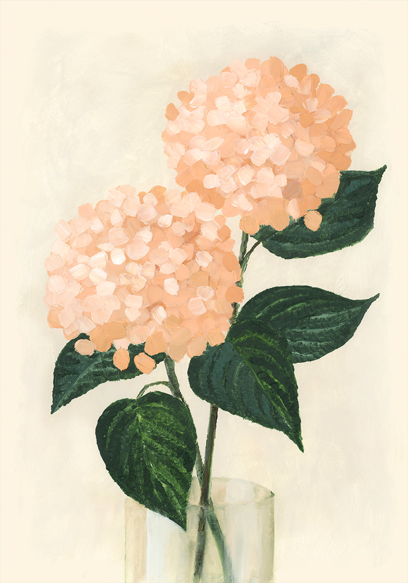 Korallenhortensien in einer Vase