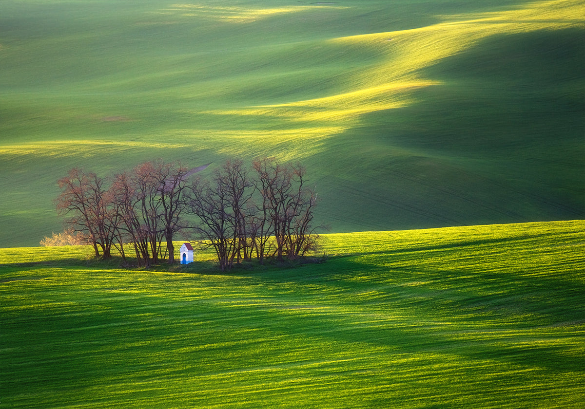 Felder...