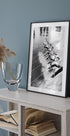 Women Water Skiing Plakat - Posterbox.no