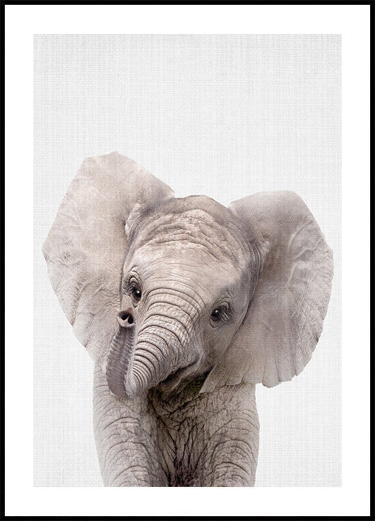 Peekaboo-Baby-Elefant-Poster