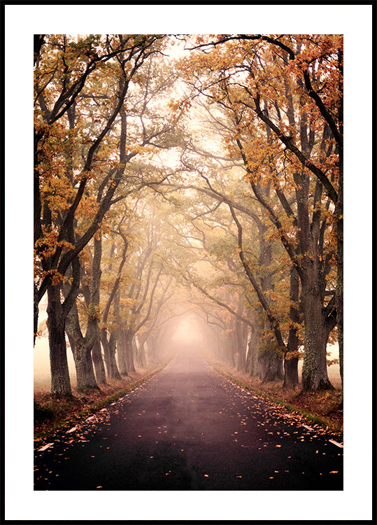 Autumn Avenue-Poster