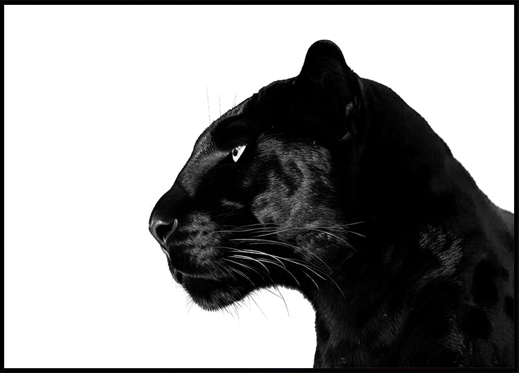 Black Panther-Profilplakat