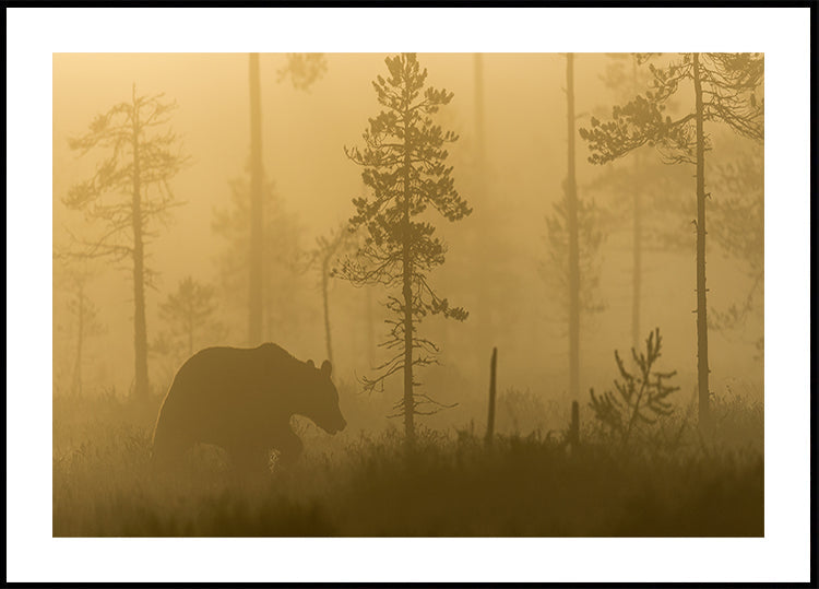 Morgennebel