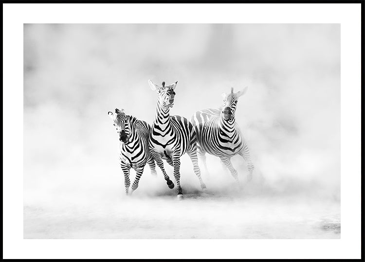 ZEBRAS
