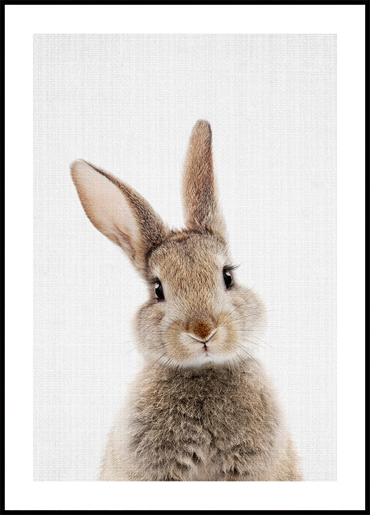 Peekaboo-Häschen-Poster