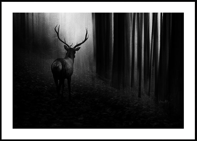 Hirsch