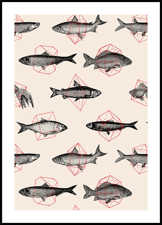 Poster „Fische in der Geometrie“ Nr. 4
