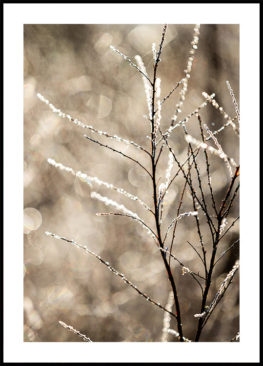 A Winter Morning 5 Plakat