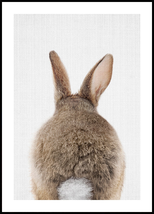 Peekaboo Bunny Tail Poster