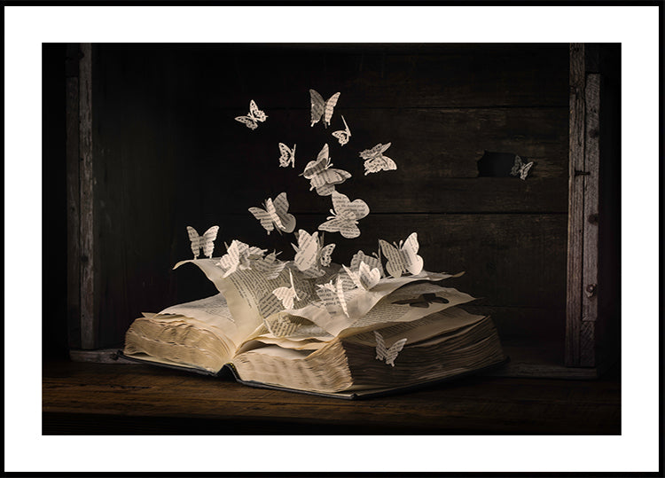 Lepidopterologie