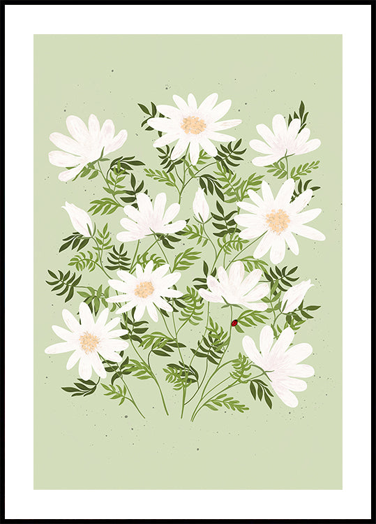 Marienkäferblumen