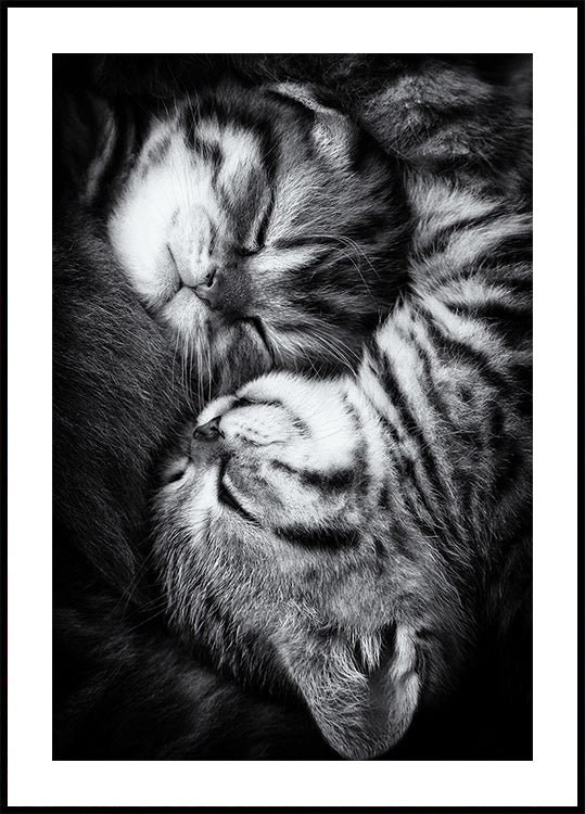 Yin und Yang