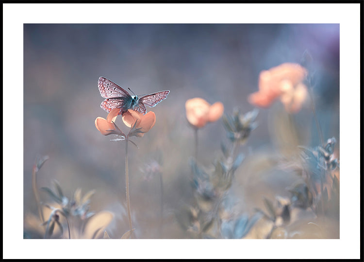 Die Dame von Lothlorien