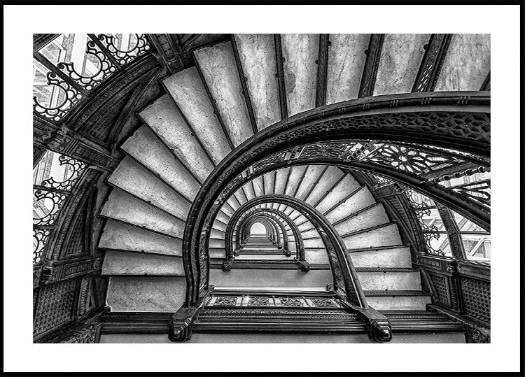 Das Rookery-Poster