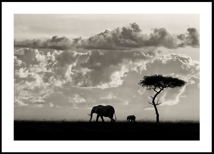 Silhouetten von Mara