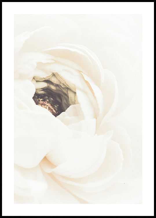 Weißes Blumen-Nr.1-Poster