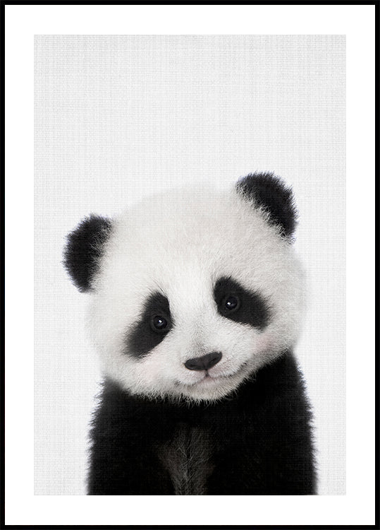 Peekaboo-Baby-Panda