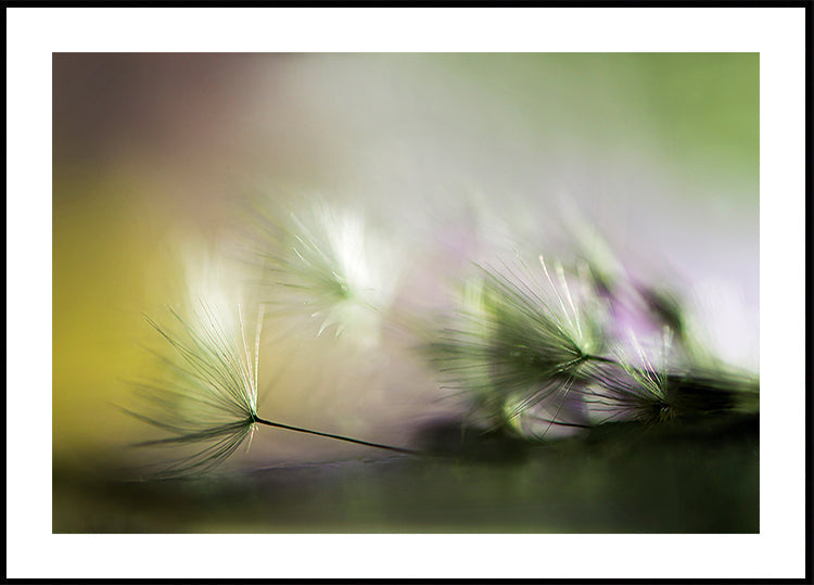 Am Morgen