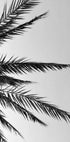 Palm Leaves Plakat - Posterbox.dk