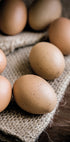 Brown Organic Eggs Plakat - Posterbox.dk