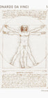 Leonardo da Vinci, Vitruvian Man Plakat - Posterbox.dk