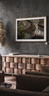 Majestic Leopard in the Wild Plakat - Posterbox.dk