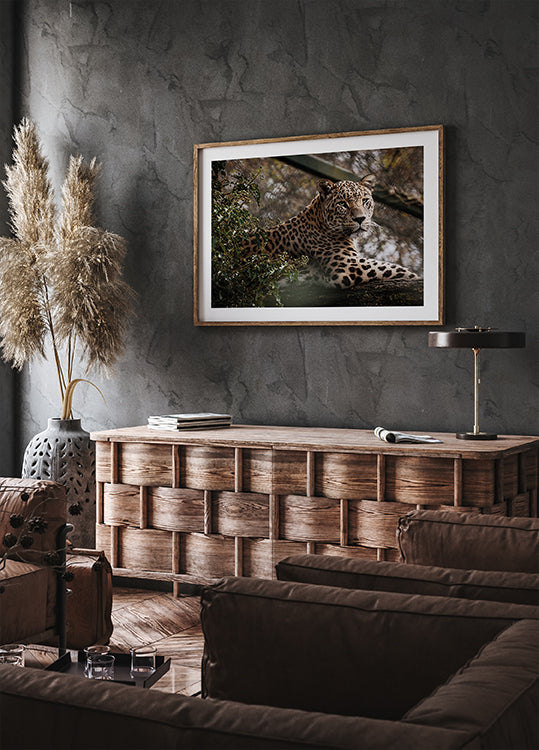 Majestic Leopard in the Wild Plakat - Posterbox.dk