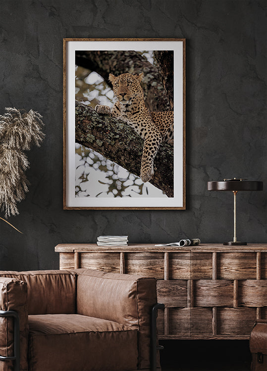 Majestic Leopard on a Tree Branch Plakat - Posterbox.dk
