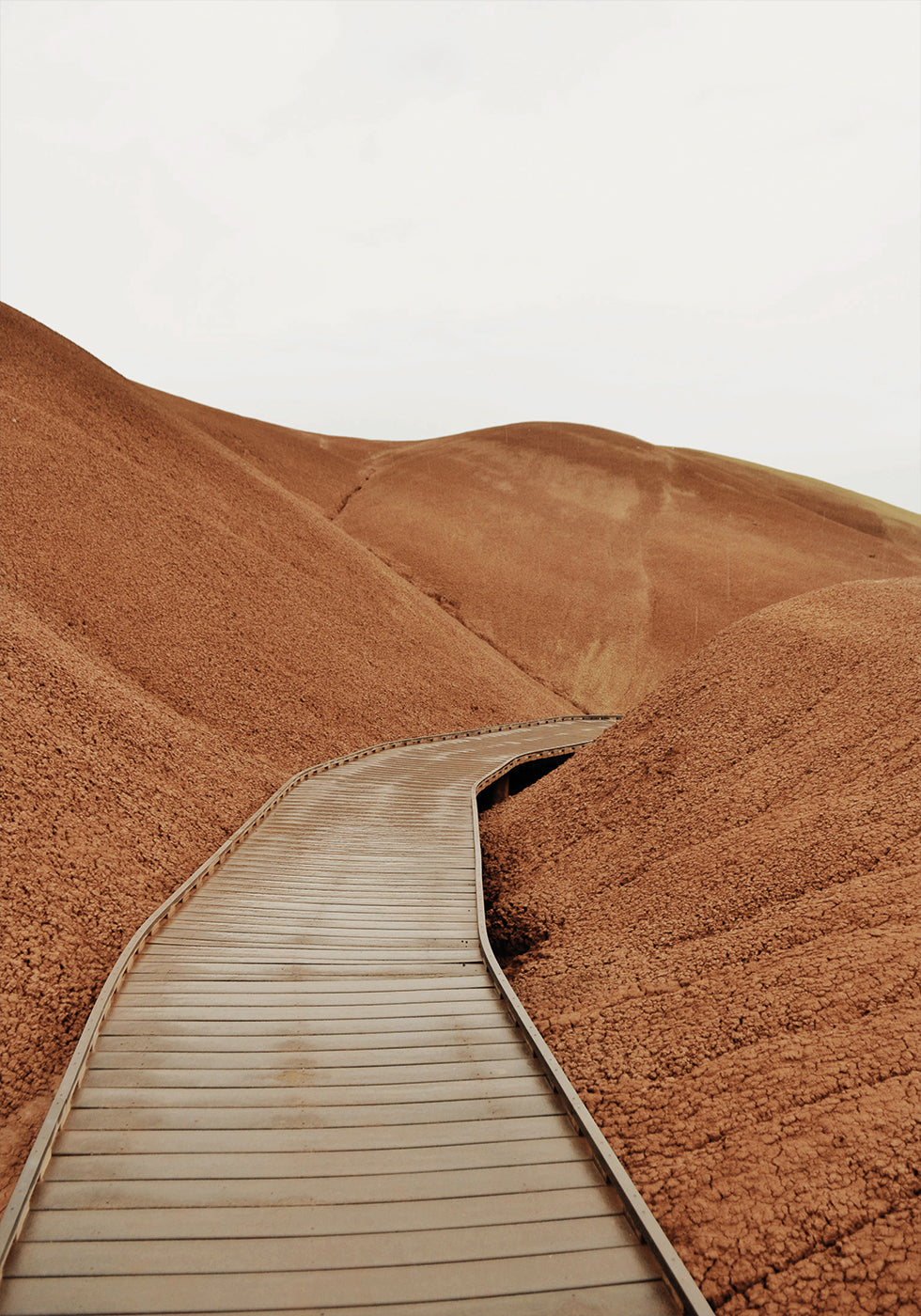 Painted Hills Boardwalk Plakat - Posterbox.dk