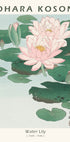Water Lily, Japanese Woodblock By Ohara Koson Plakat - Posterbox.dk