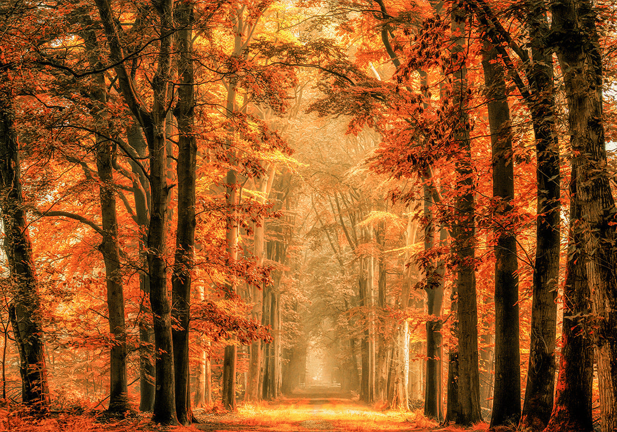 Verlassen Sie das Portal-Poster