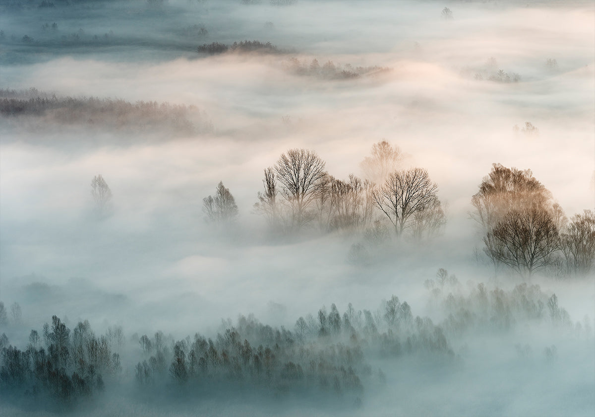Winternebel-Poster