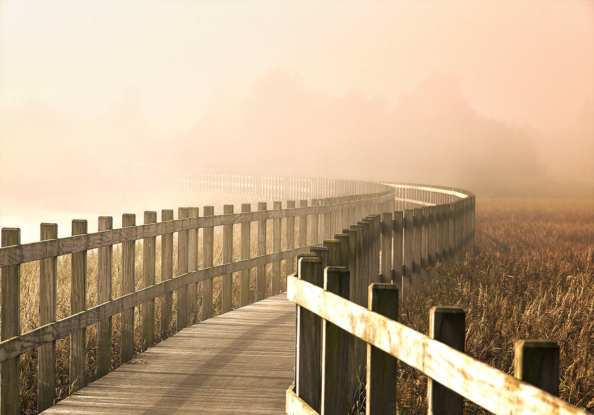 Der Pfad wird heller.