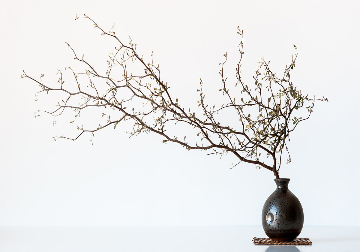 Vase und Zweig