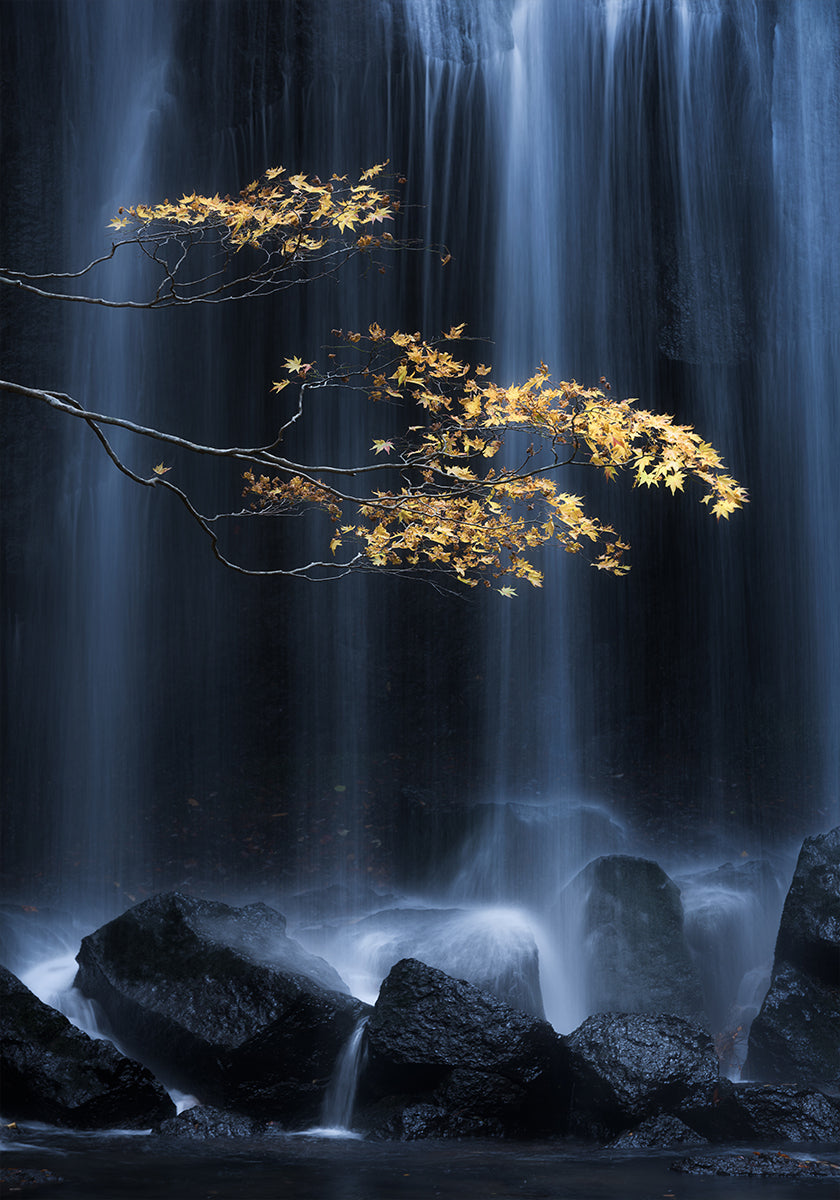 Gelber Herbst