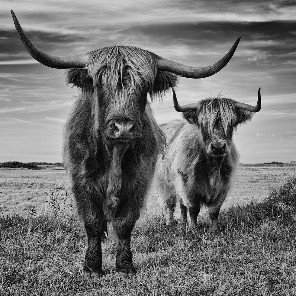 Highlands-Poster