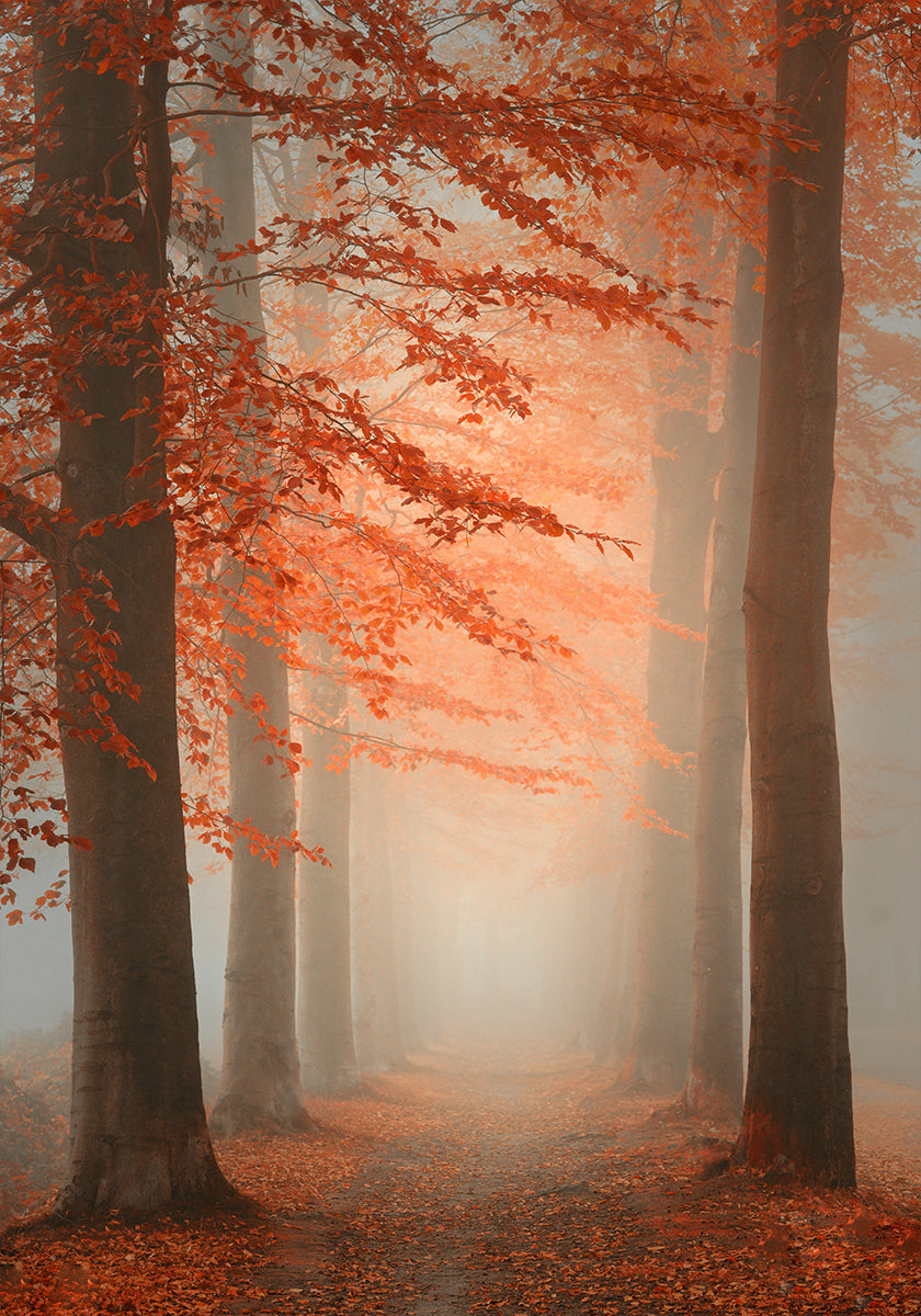 Herbsttraum-Poster