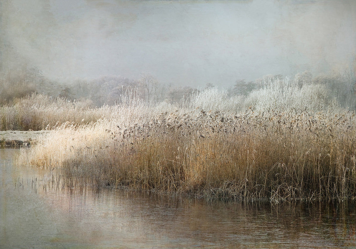 Wintermorgen-Poster
