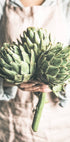 Artichokes Food Plakat - Posterbox.no