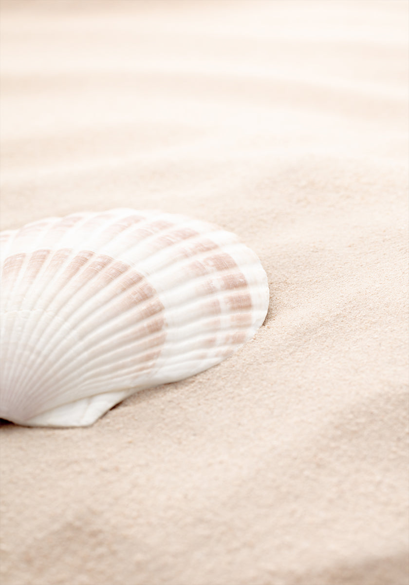 Shell_3 Poster