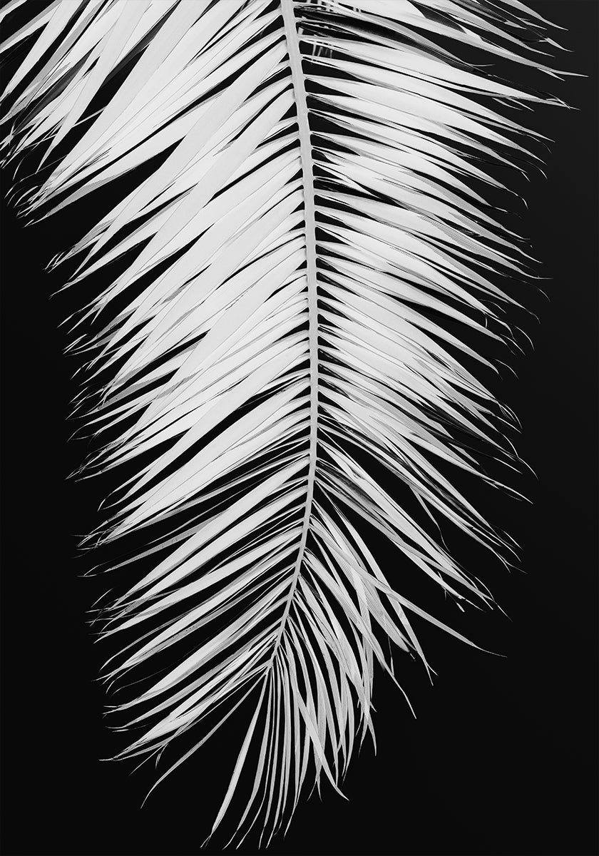 Palmblatt Nr.4 Poster
