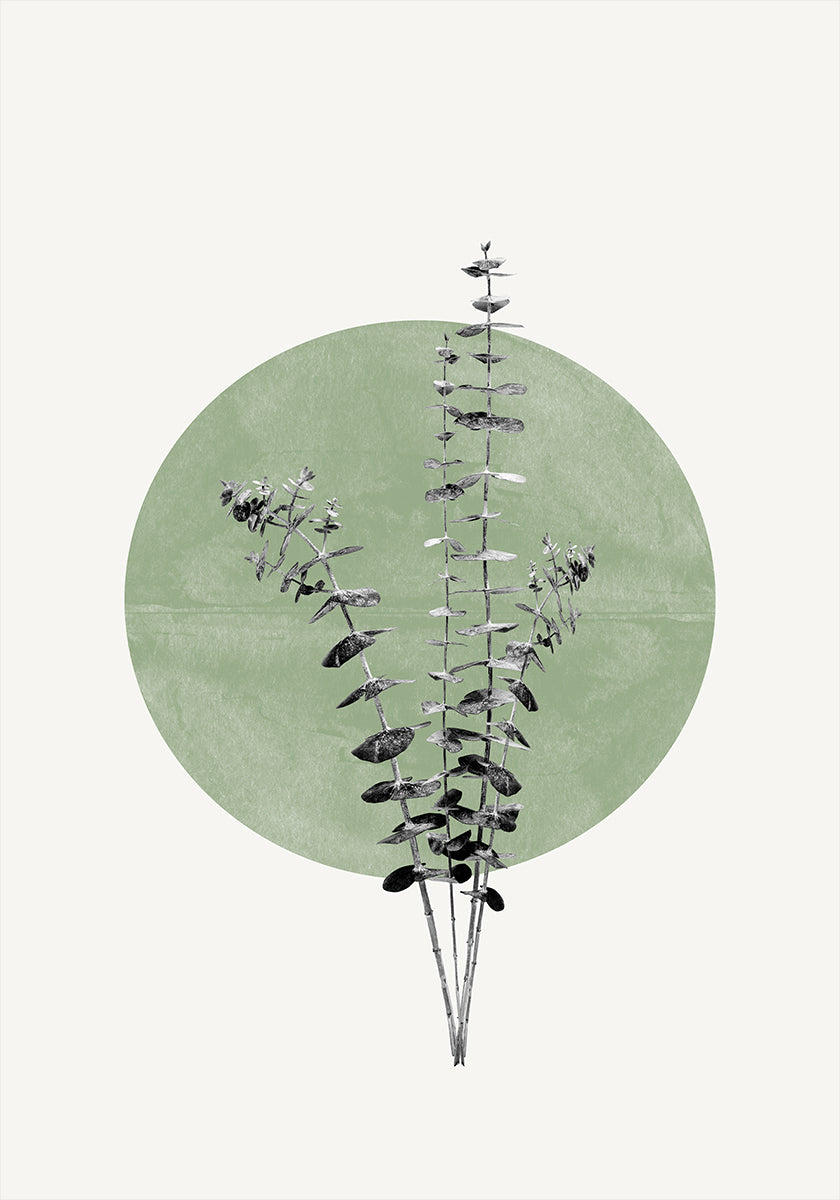 Poster „Echo der Natur“.