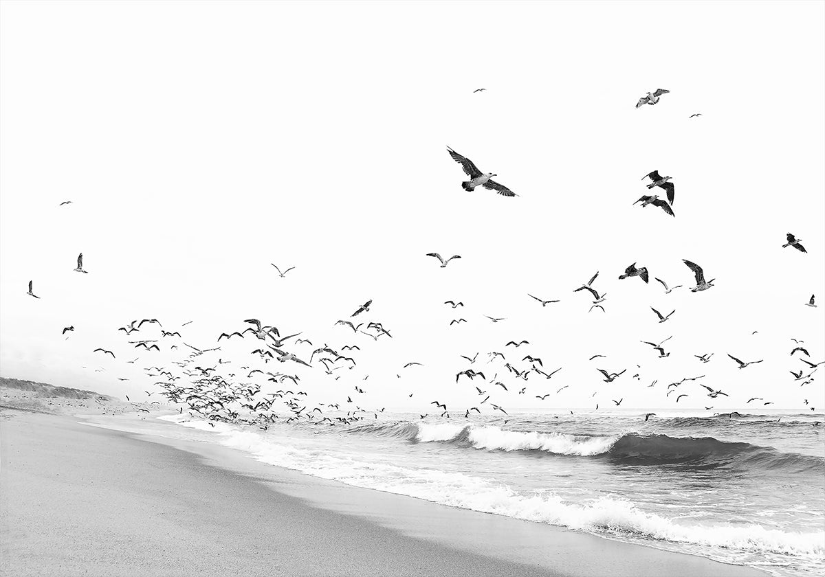 Seascape BW (NEU)