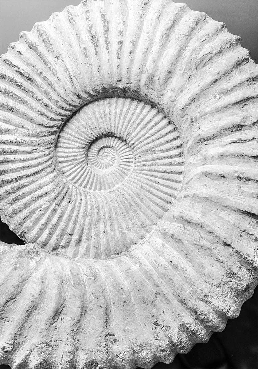 Alte Spiralträume